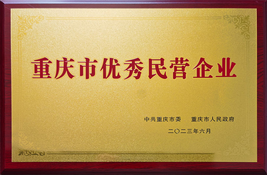 2.重庆市优秀民营企业.jpg